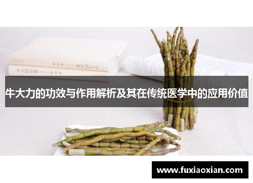 牛大力的功效与作用解析及其在传统医学中的应用价值 牛大力的功效与作用解析及其在传统医学中的应用价值