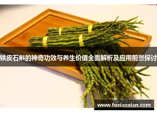 铁皮石斛的神奇功效与养生价值全面解析及应用前景探讨 铁皮石斛的神奇功效与养生价值全面解析及应用前景探讨